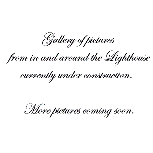 Gallery of images from in and around the Lighthouse is under construction.  More images coming soon.